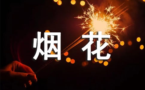 ȼ���̻�����������