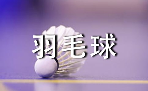 羽毛球赛策划方案