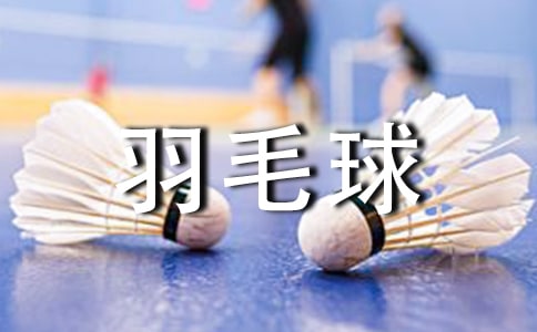 大学生羽毛球比赛策划书