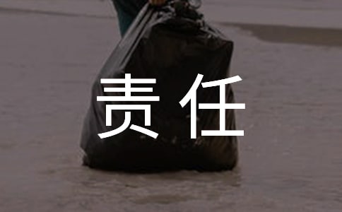 ��ȫ�������γ�ŵ�顾����