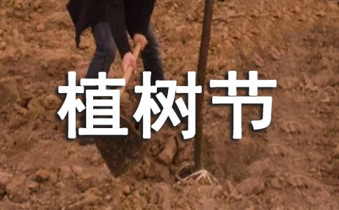 ֲ�������뺯