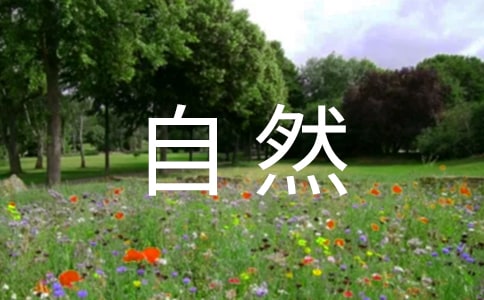 ��Ȼ��Դ����ְ�������淶��