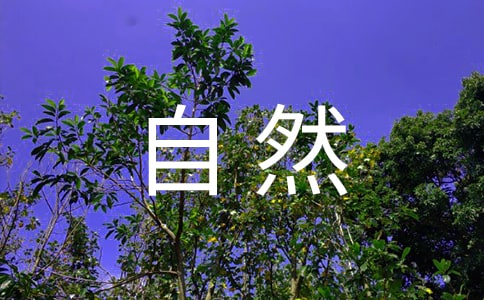 珍惜自然资源的建议书