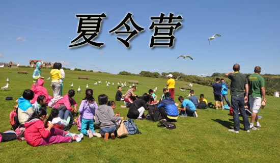 夏令营的工作总结