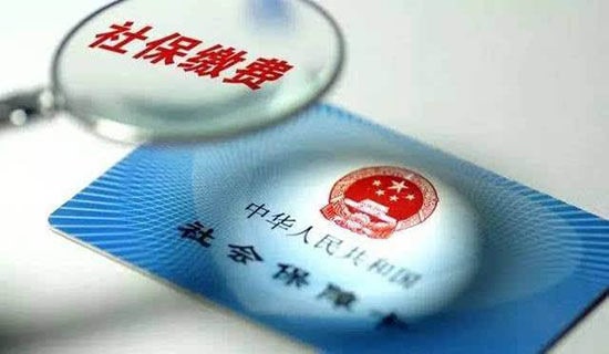 �����籣������15ƪ